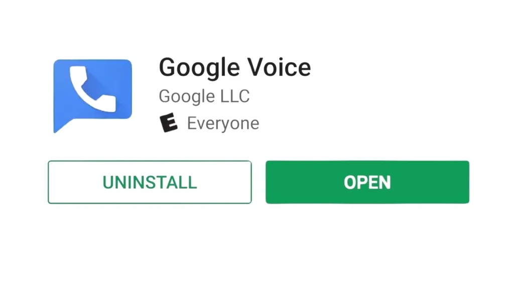 Google Voice App